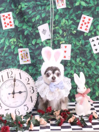 20250418空太くん